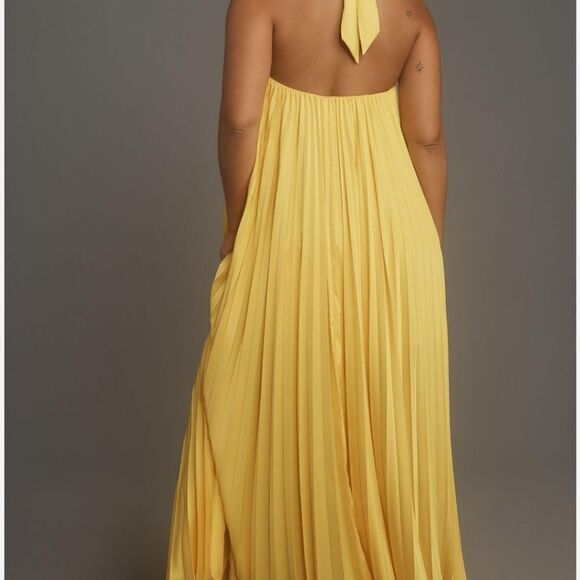 ANTHROPOLOGIE Hutch Halted Pleated Maxi Dress 1X NWT Pockets - Picture 5 of 16